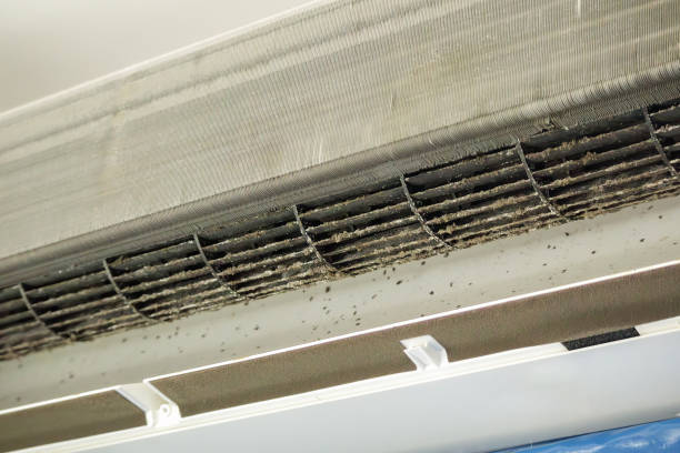 Best HVAC Air Duct Cleaning  in Dardenne Prairie, MO